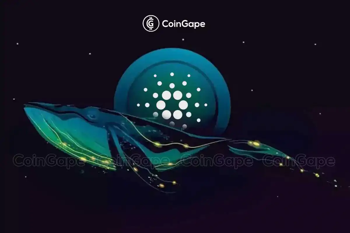 Cardano News: ADA Coin Sees Sudden Interest from Crypto Whales; Time To Buy?
