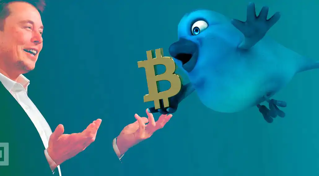 Musk: Twitter Could Be the Biggest Financial Institution in the World With Bitcoin Adoption