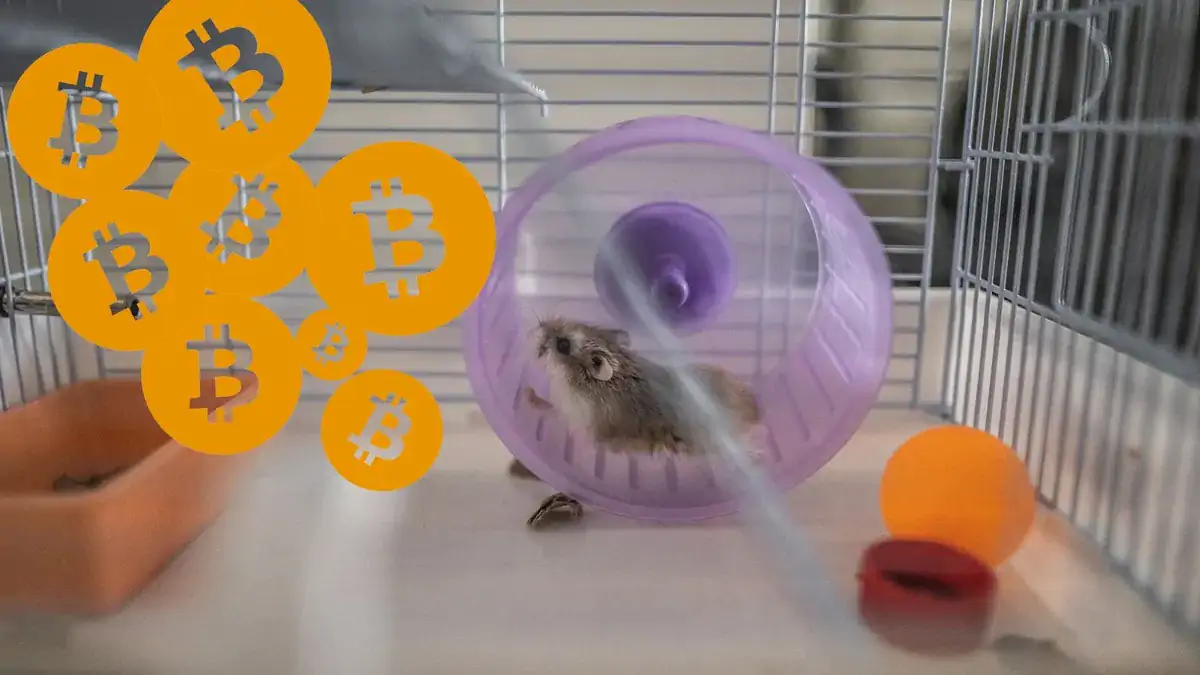 A Hamster in a Cage Trading Crypto Outperforms S&P 500 and Bitcoin