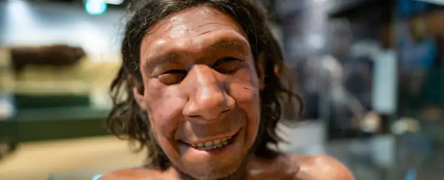 It's Possible Neanderthals Evolved So They Wouldn't Smell Their Own Stink, Study Finds