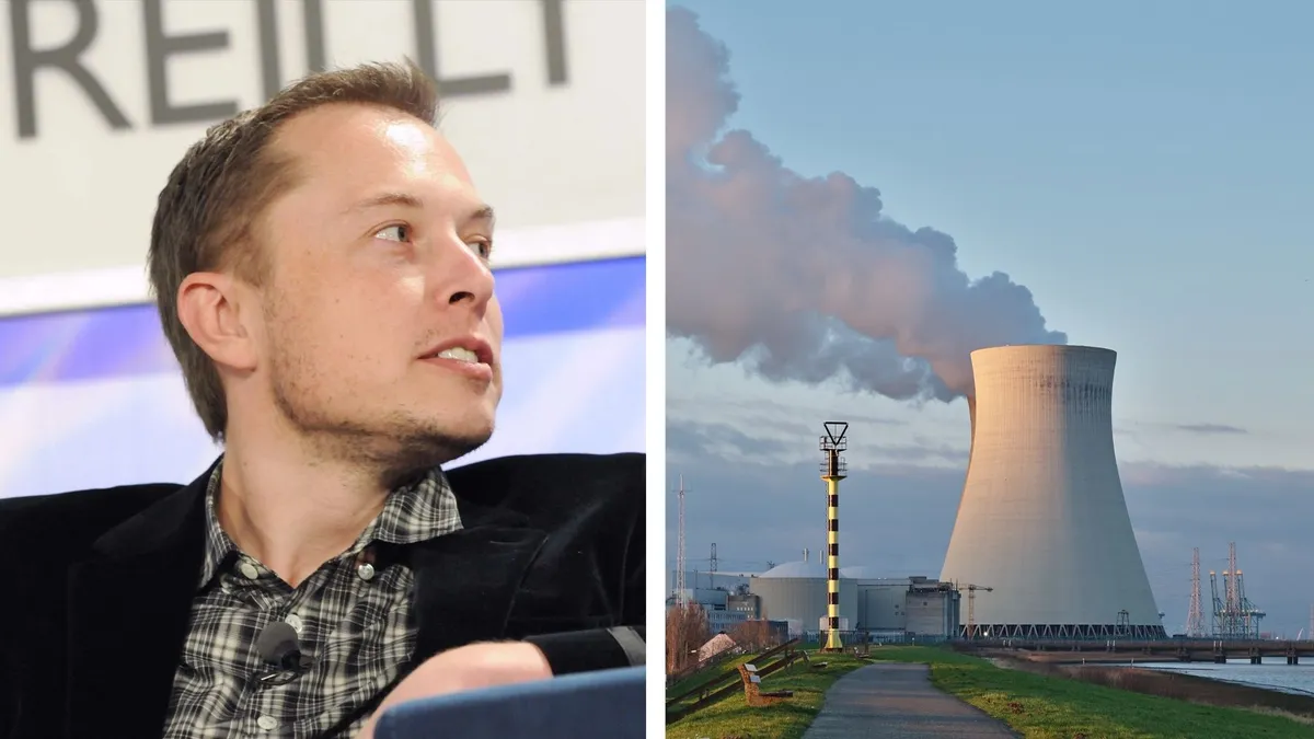 To support nuclear power, Elon Musk will eat food grown in high radiation zones