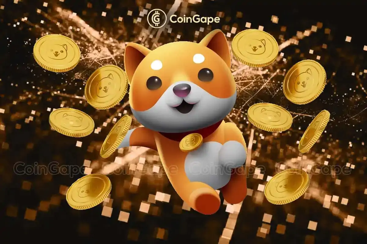 Baby Doge Coin Set To Boom After This Integration?