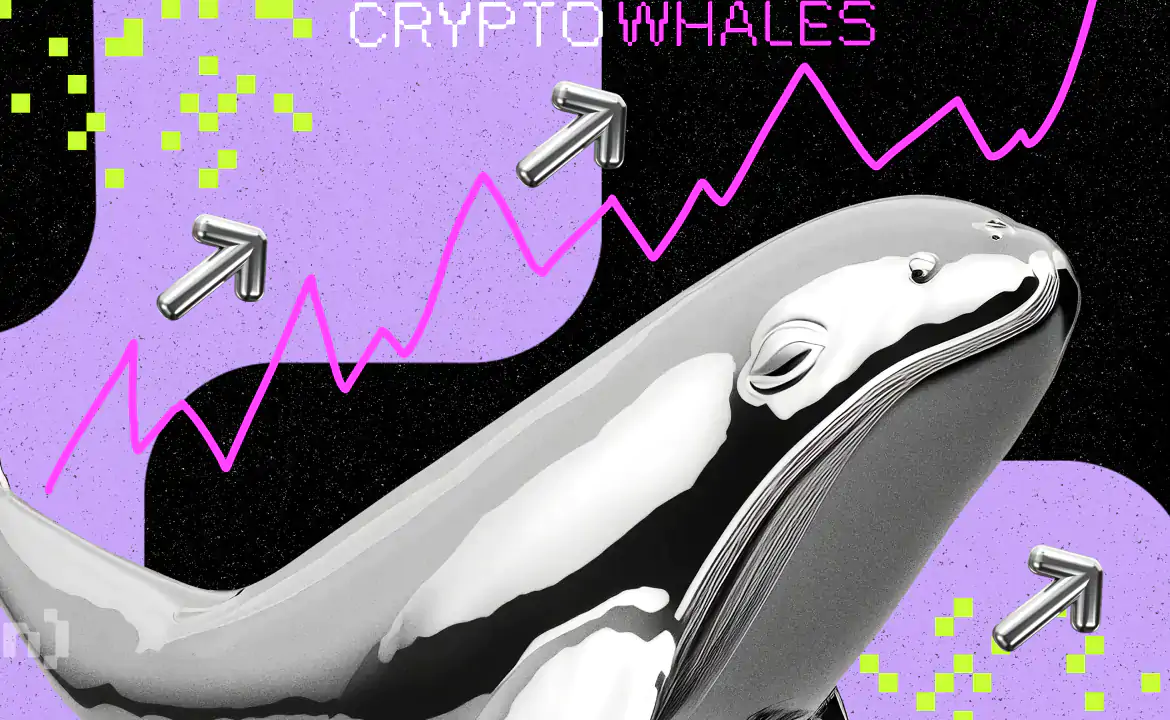 What Crypto Whales Are Buying for Potential Gains in May 2023