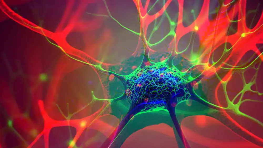 Psychedelics open a new window on the mechanisms of perception