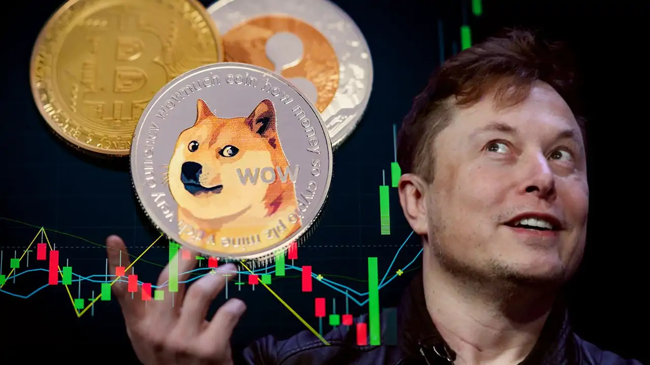 First Time After Twitter Deal, Elon Musk Hints of DOGE Coming to The Platform