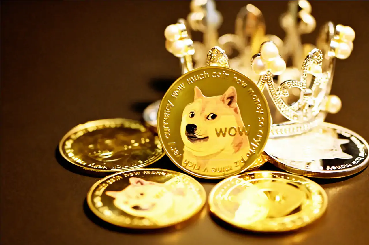 How To Buy Dogecoin and Collateral Network
