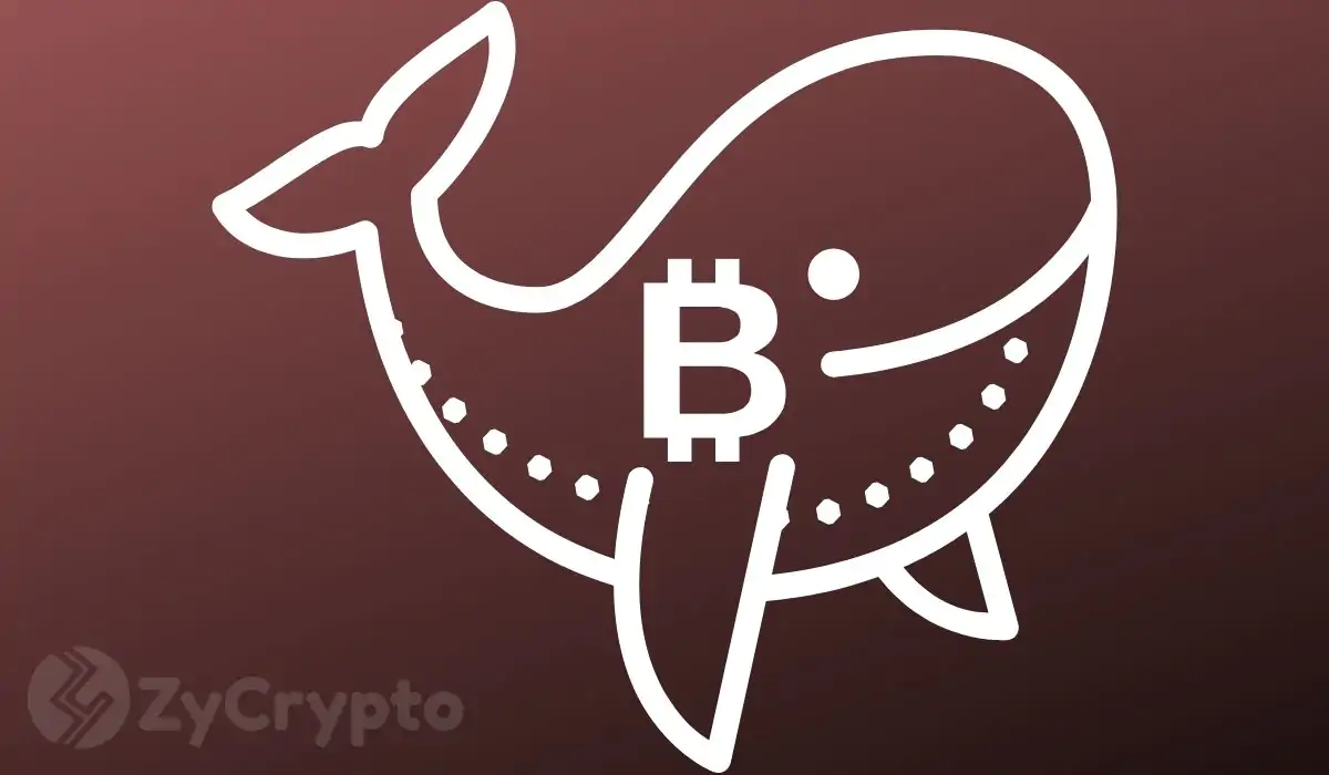 Bitcoin Whales and Miners’ Distribution Reaches Peak Levels, Pumping More Sell Pressure