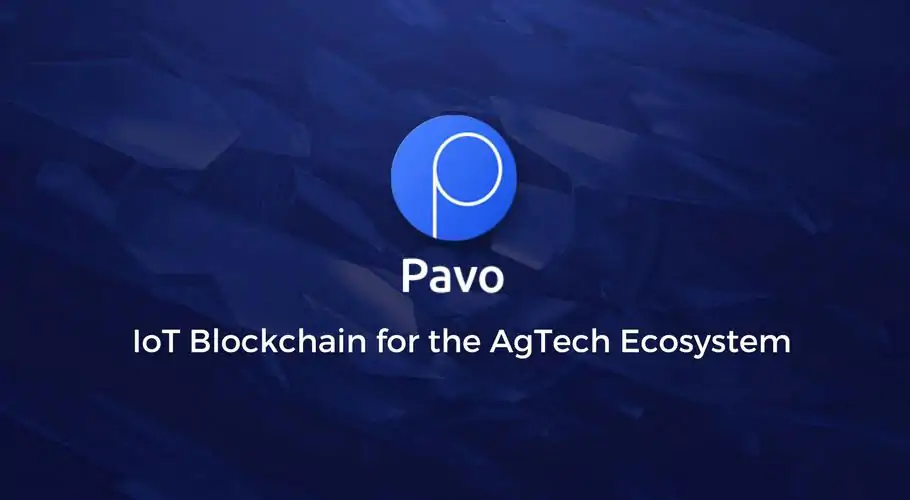 Pavocoin Ag Execs Head to the UAE to Participate in the Dubai Blockchain Summit on August 9