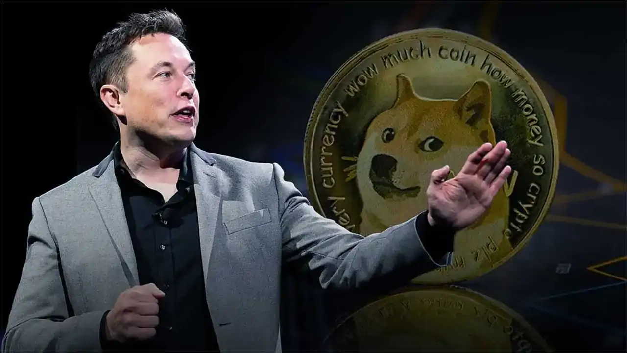 What Happens If Elon Musk Starts Shilling Dogecoin Again?