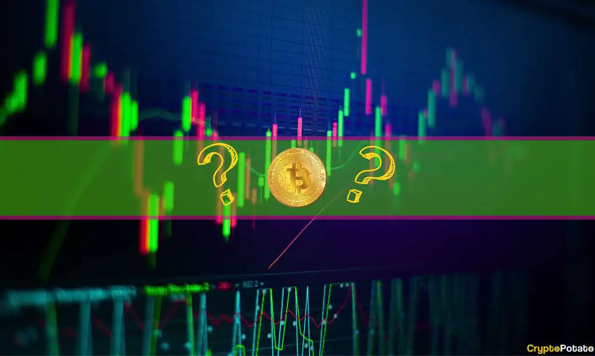 These are this week’s top performers while bitcoin (btc) neared $40k (weekend watch)