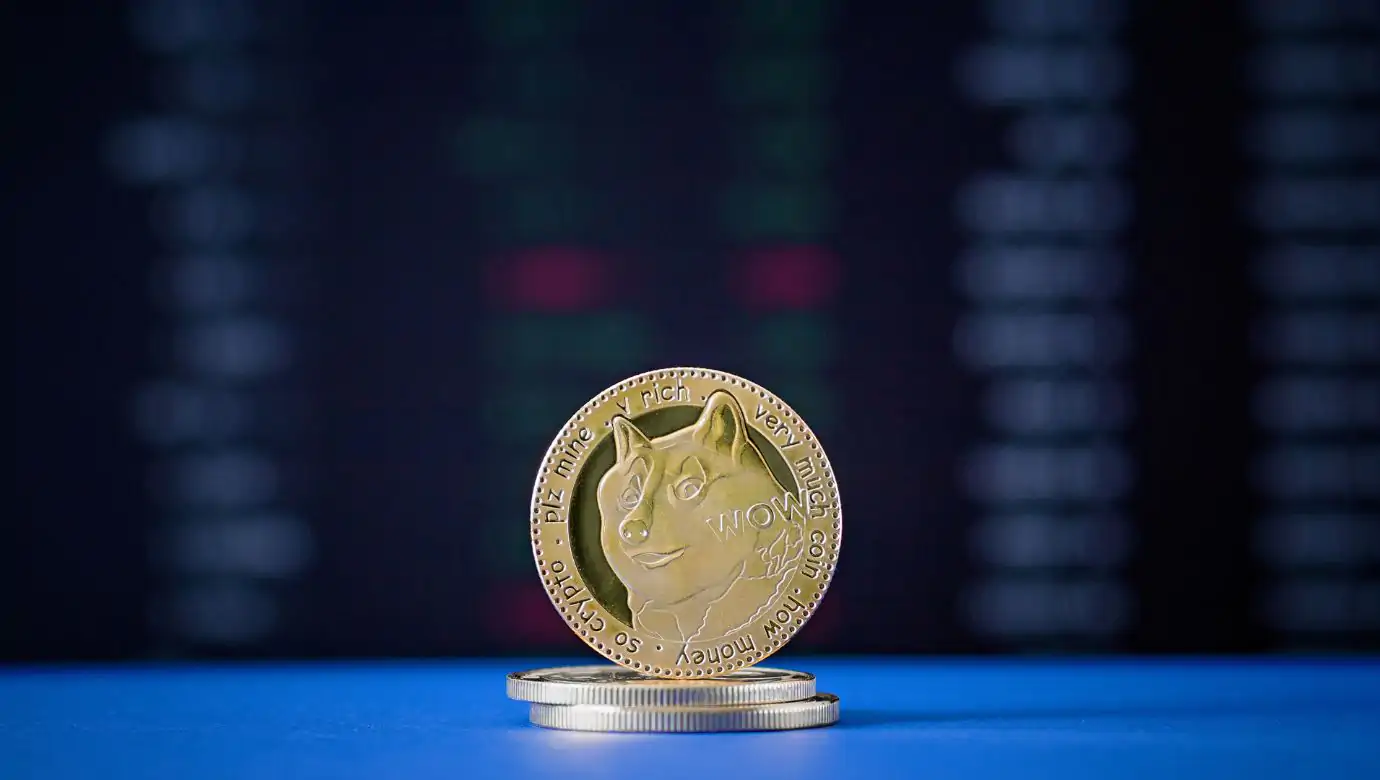 63% Of Dogecoin Holders Are Making Money