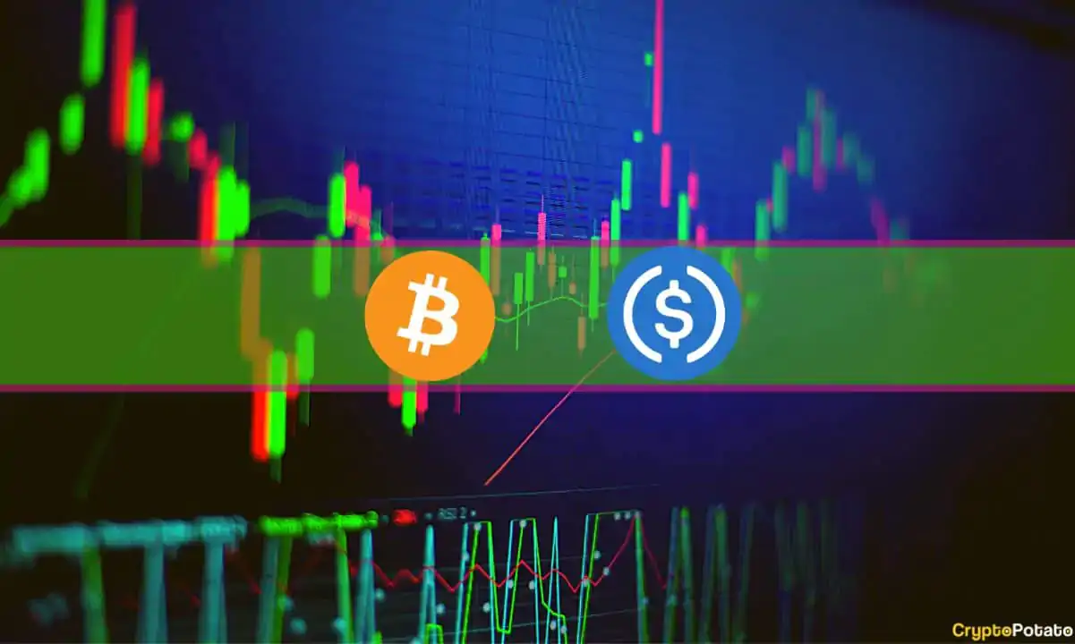 BTC’s Rollercoaster Around $20K Continues as USDC Drops to $0.9: Weekend Watch